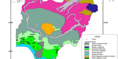 Mapa nigérie ukazuje, vegetace